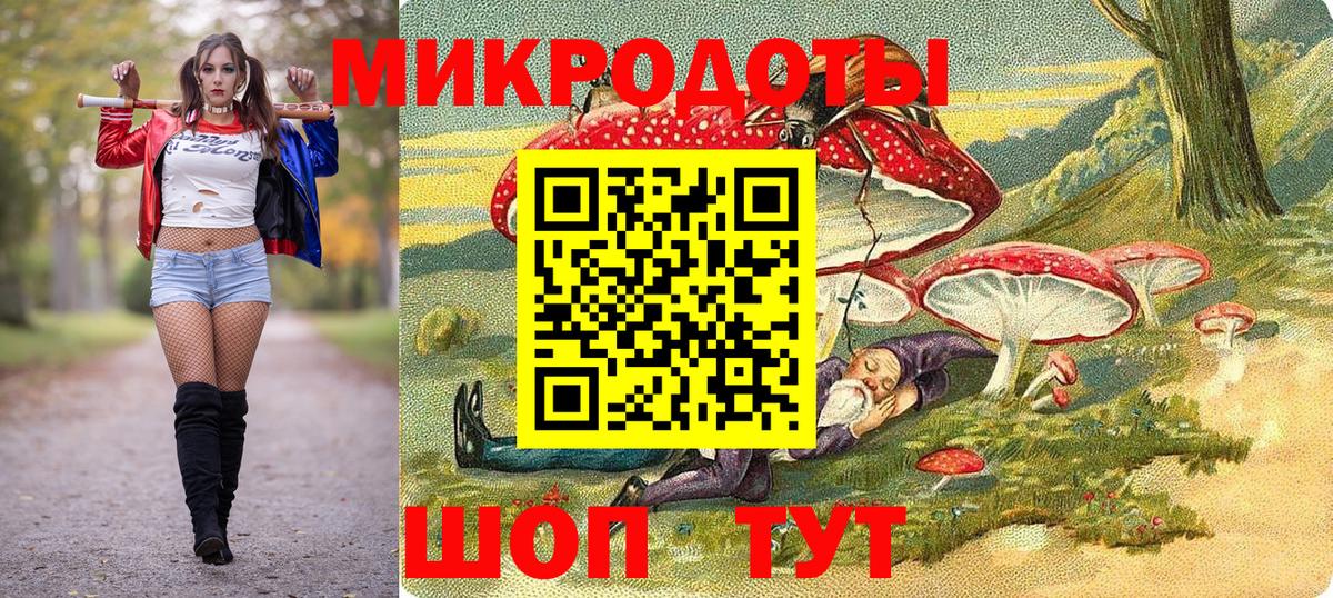 Псилоцибиновые грибы мухоморы Димитровград