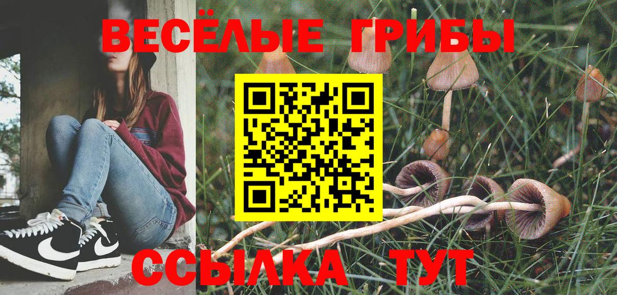 Псилоцибиновые грибы ЛСД  Вход с VPN  Галлюциногенные грибы Cubensis  Димитровград 
